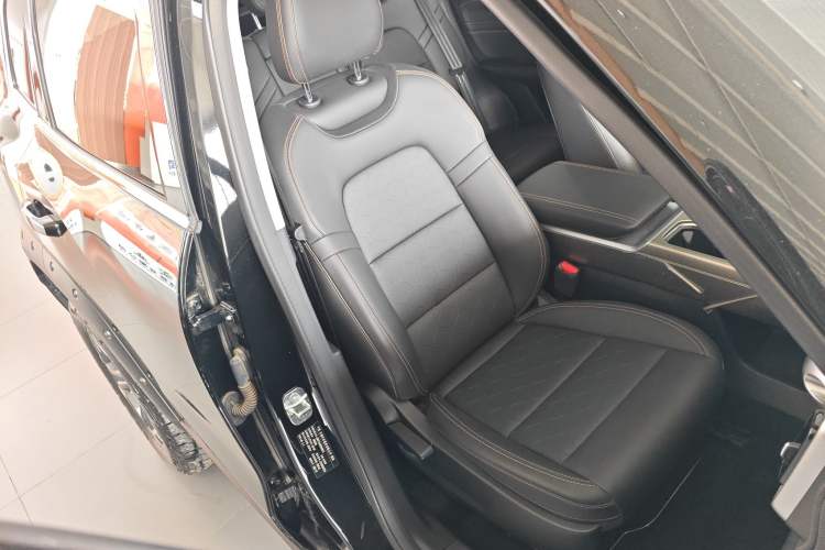 Used Haval DARGO 2024 2.0T DCT Chinese Rural Dog Edition
