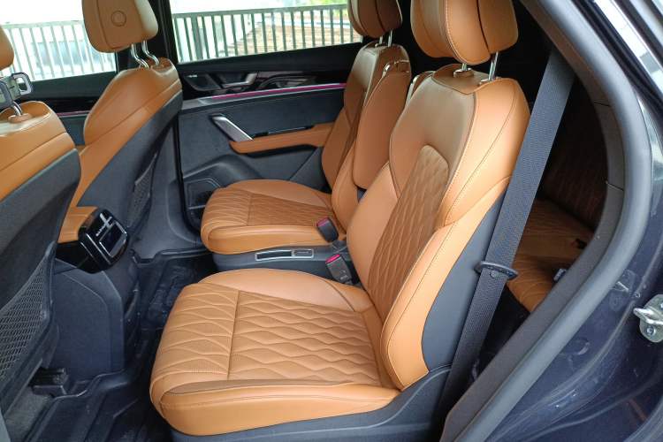 Used BYD Tang New Energy 2022 EV 730KM Luxury Model Left Rear Seat