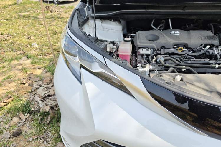 Used Toyota SIENNA 2021 2.5L Hybrid Luxury Edition Right Front Headlight