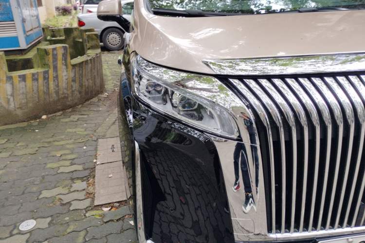 Used Wey Gaoshan 2025 Four-Wheel Drive Alpine 8 Right Front Headlight