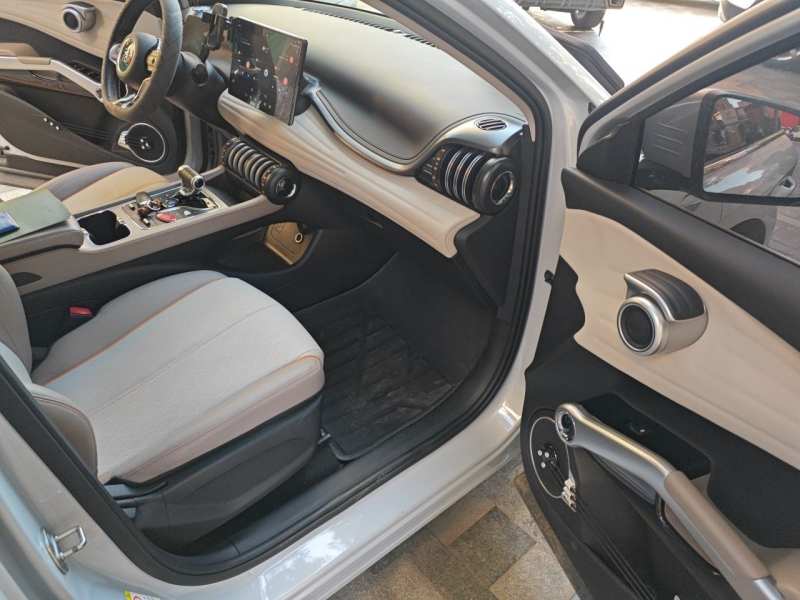 Used BYD Yuan PLUS 2023 Champion Edition 510KM Leading Model — 22