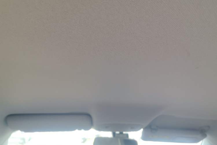 Used Leapmotor T03 2023 403 Lite Edition Headliner