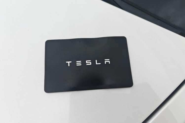 Used Tesla Model Y 2021 Long-Range All-Wheel-Drive Version