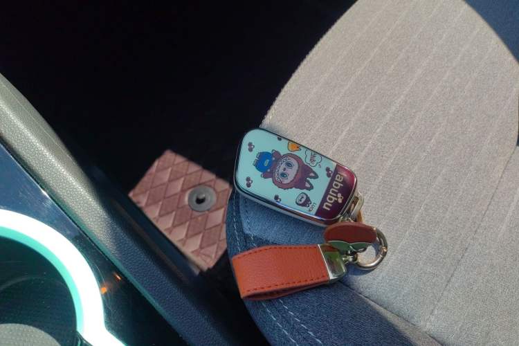 Used Chery Little Ant 2021 150 000 Yuan Ant Fan Edition New Ant Cool Version Lithium Iron Phosphate Interior 1