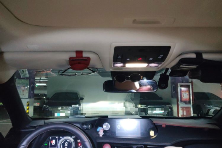 Used Lexus UX New Energy 2020 300e Pure·Joy Edition Headliner