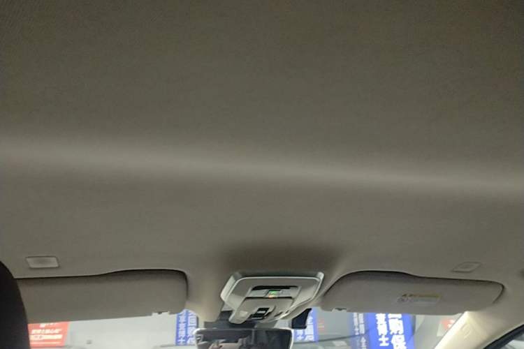 Used Hongqi HQ9 2023 2.0T Smart Connect Flagship Edition
