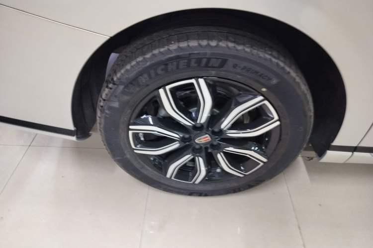 Used Hongqi HQ9 2023 2.0T Smart Connect Flagship Edition
