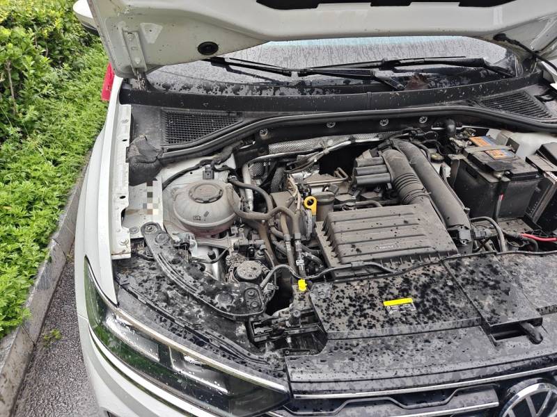 Used Volkswagen T-ROC 2022 280TSI DSG Two-Wheel Drive Elite PLUS — 21