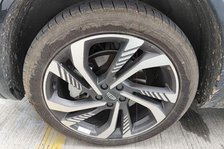Used Geely Auto Monjaro L 2024 2.0TD High-Power Automatic Two-Wheel Drive Skyline Edition
