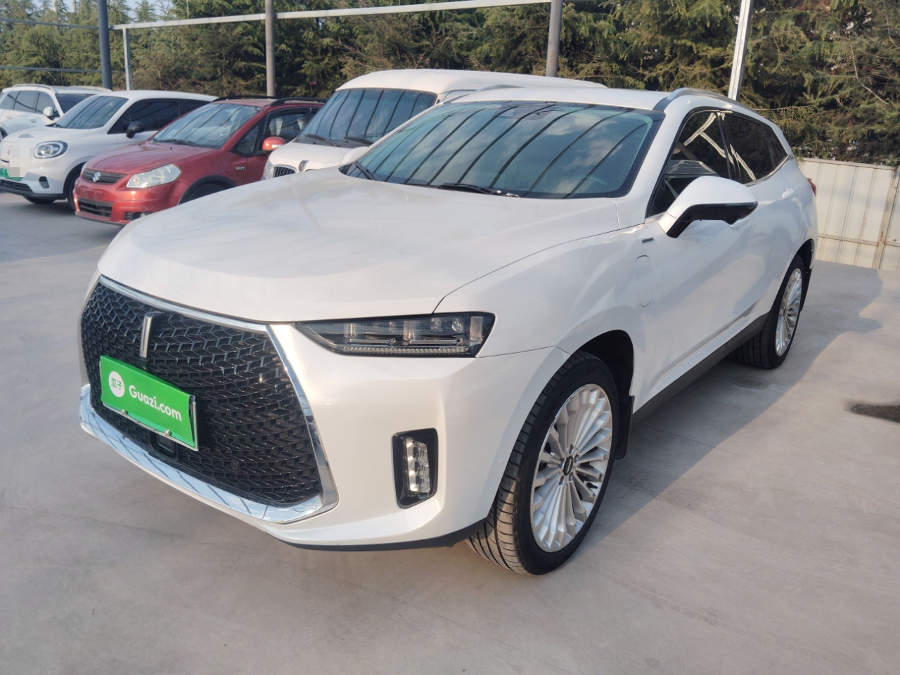 Parte inferior delantera