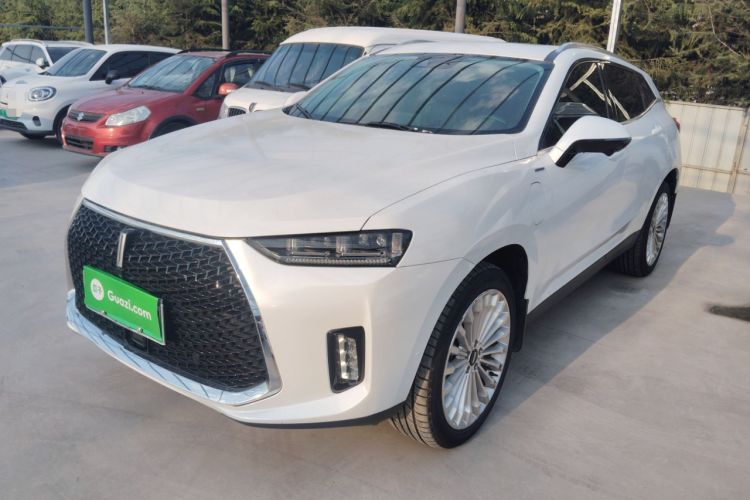 Used Wey P8 2018 2.0T Flagship Model