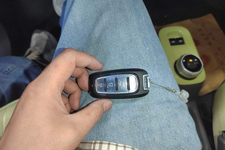 Used Geely Galaxy Panda 2023 Panda Mini 200km Dynamic Bear Vehicle Key