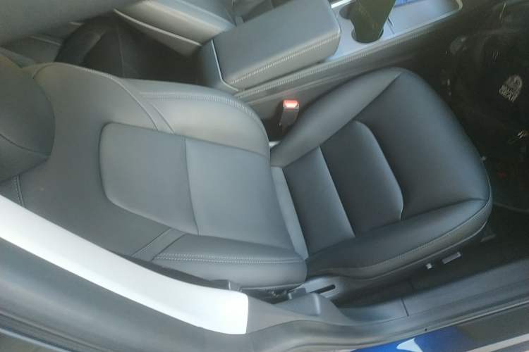 Used Tesla Model 3 2021 Standard Range Rear-Wheel Drive Upgraded Version 3D6