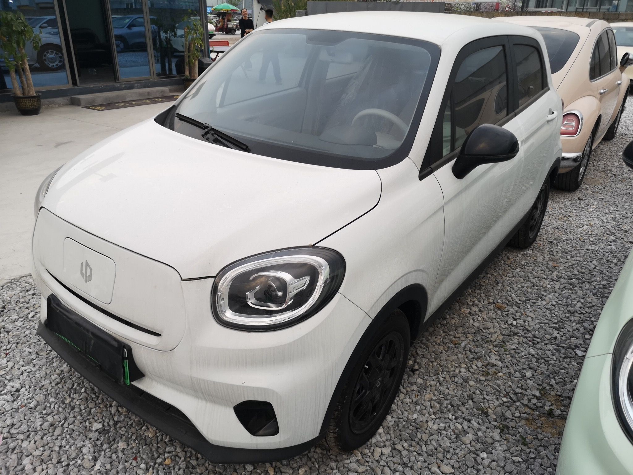 Parte inferior delantera