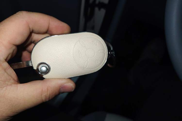 Used Bestune Pony 2025 222km Range Linglong Horse