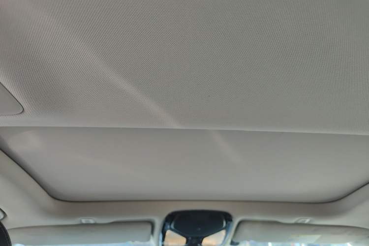 Used BMW 5 Series New Energy 2019 530Le Luxury Package
