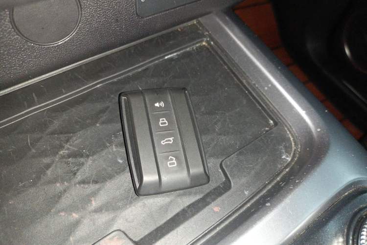 Used Tank 300 2022 2.0T Border Limited Edition
