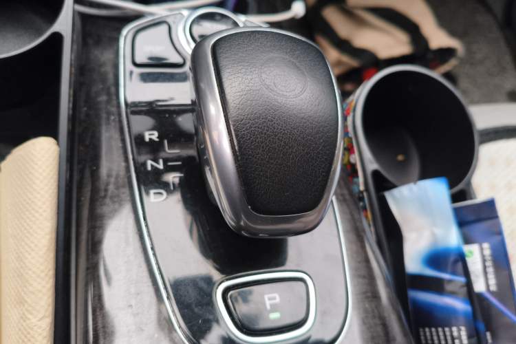 Used Denza 2017 Stylish Edition