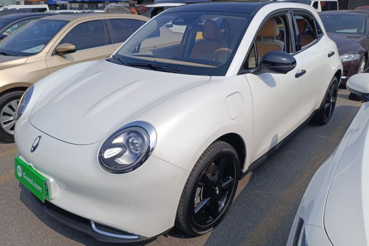 Used ORA Good Cat 2024 401 km Luxury Version