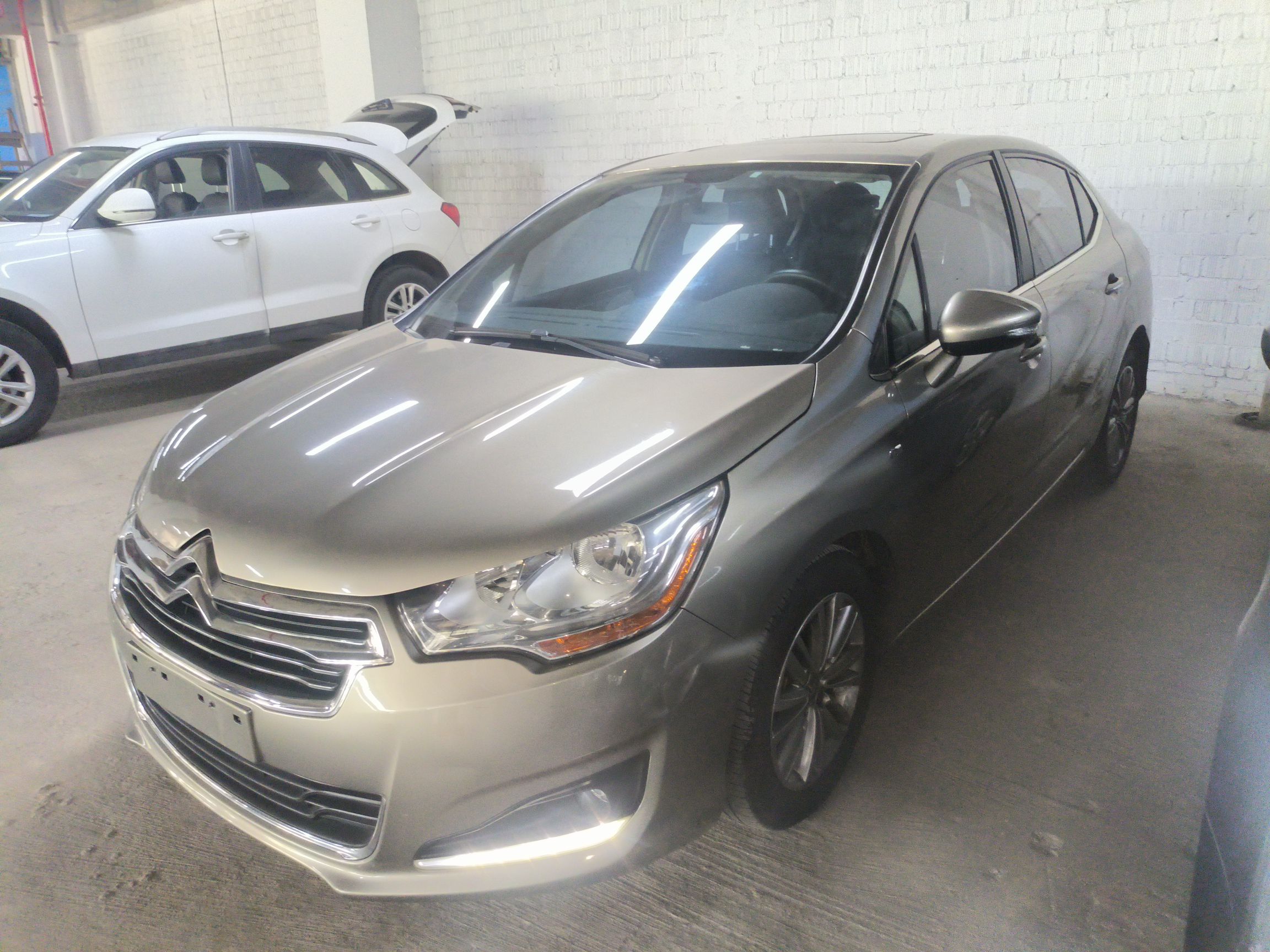 Parte inferior delantera