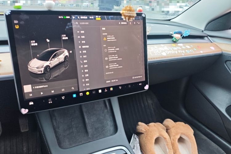 Used Tesla Model 3 2022 Rear-Wheel-Drive Version