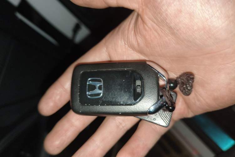 Used Honda Avancier 2017 240TURBO Two-Wheel Drive Luxury Edition
