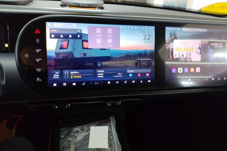 Used smart #5 2024 Jungle Realm Limited Edition