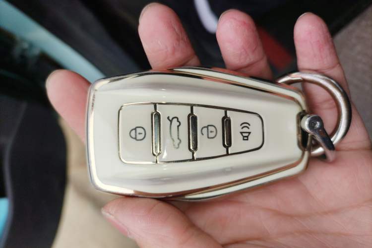 Used Geometry E Firefly 2024 301km Starlight