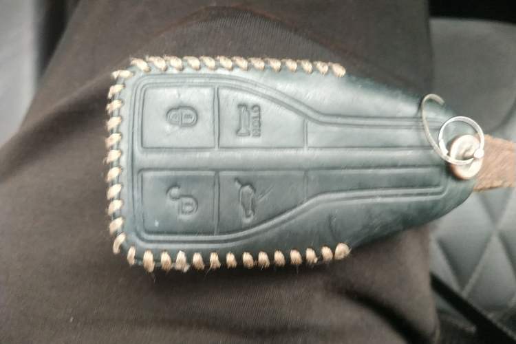 Used Hongqi HS5 2019 2.0T Smart Connect Flagship Edition Interior 1