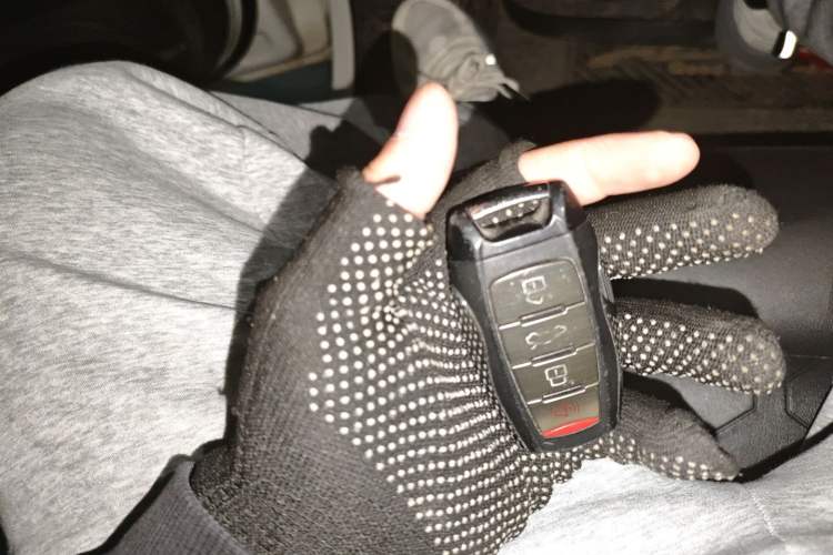 Used Haval DARGO 2021 1.5T DCT Two-Wheel Drive Labrador Edition