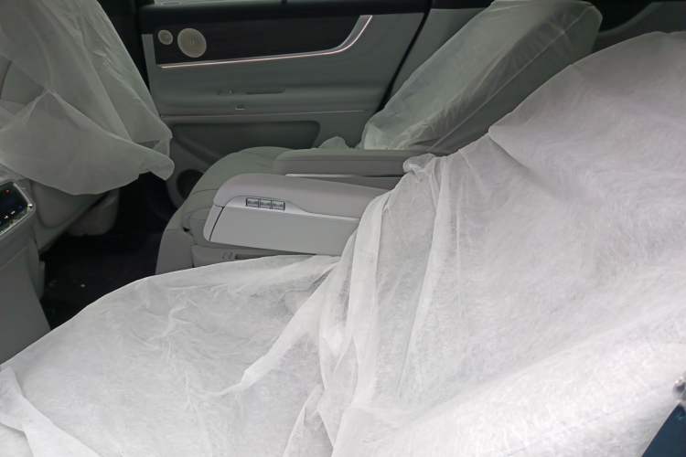 Used Hima AITO M9 2024 Range-Extended Ultra Version 42 kWh 6-Seater Model Left Rear Seat