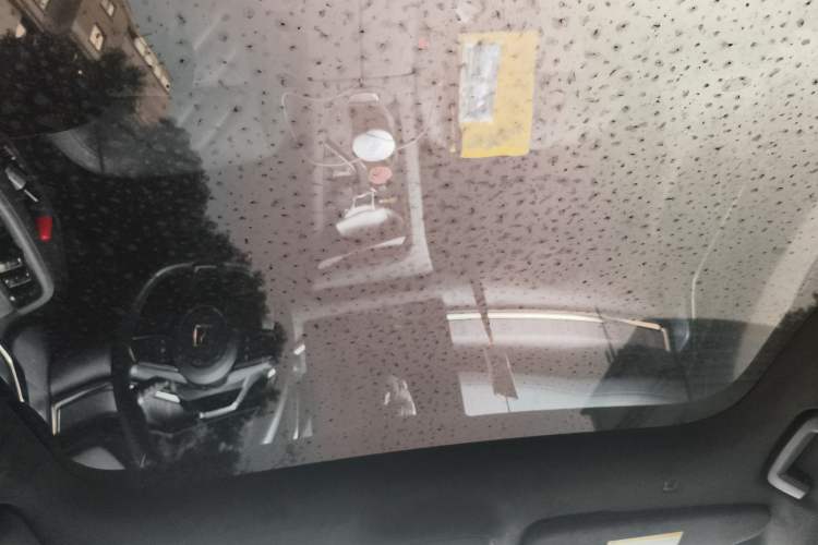 Used Zeekr 001 2022 Ultra-Long Range Dual-Motor YOU Version Headliner