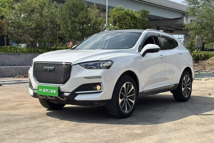 Used Haval F5 2019 National Trend Edition 1.5T i-Van China VI Standard