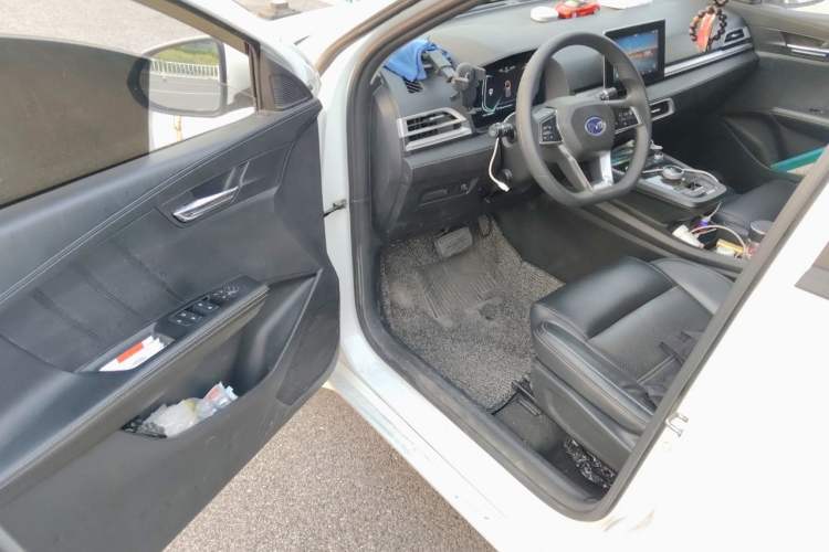 Used BYD e2 2019 Standard Range Model – Smart & Comfortable Version