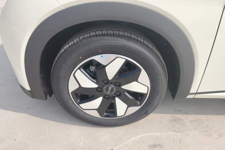 Used BYD Dolphin 2025 420km Free Edition