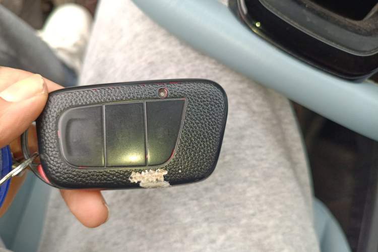 Used Chery Little Ant 2022 Sweet Pink Edition Low-Sugar Version Lithium Iron Phosphate 30 kW 301 km
