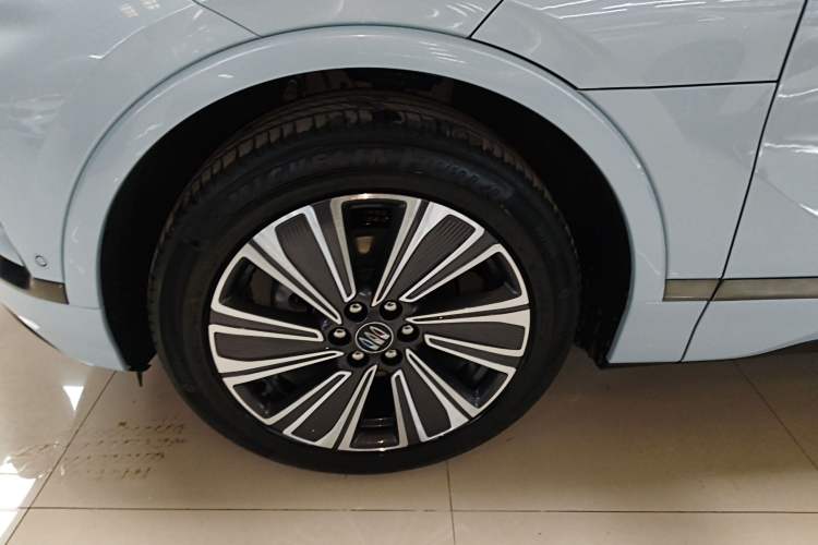 Used Buick E5 2024 Premium Standard-Range Audiovisual Edition