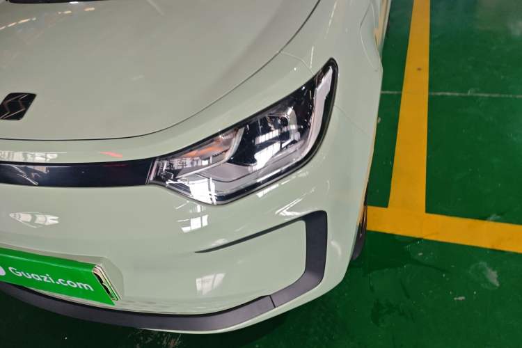 Used SOL E10X 2022 Flower Fairy Design Four-Leaf Clover Left Front Headlight