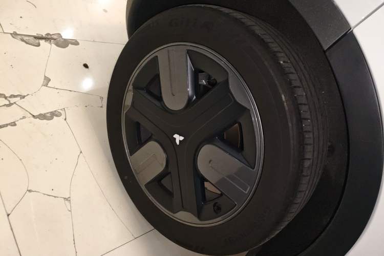 Used firefly 2025 Illuminated Edition
