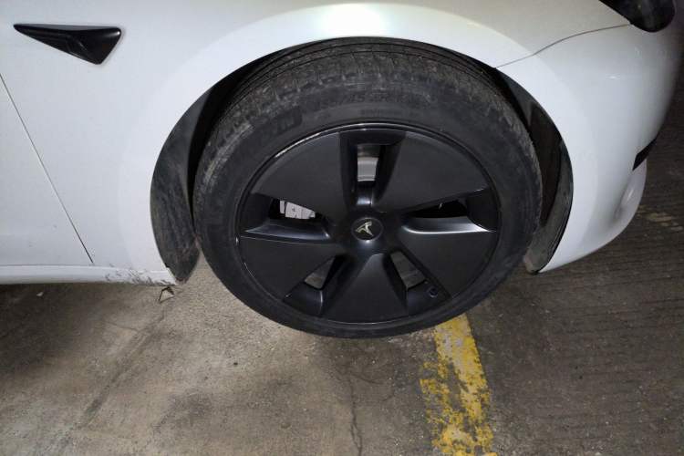 Used Tesla Model 3 2021 Revised Version Standard Range Rear-Wheel Drive Upgraded Edition 3D1
