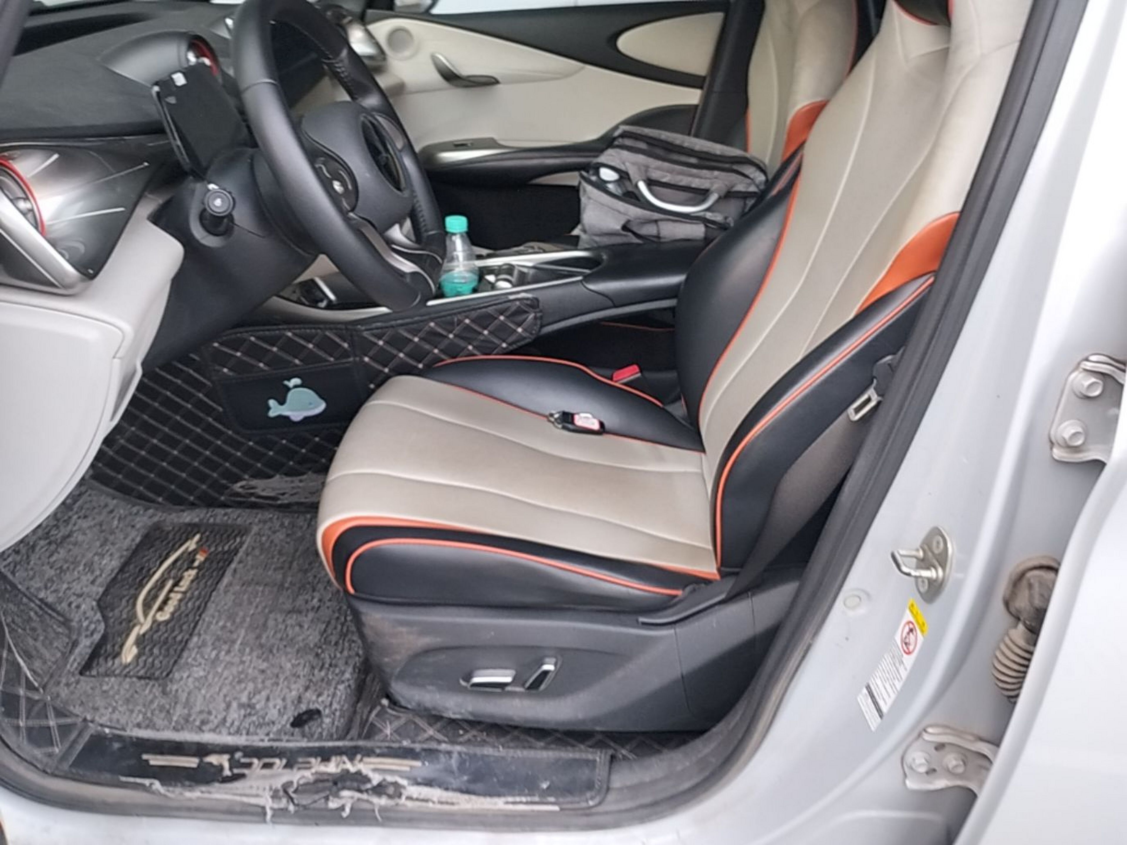 Interior delantero