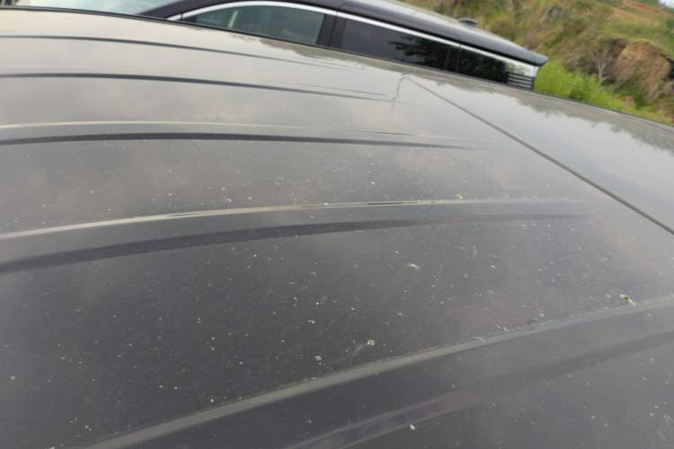 Used Hongqi HQ9 PHEV 2024 2.0T Four-Wheel Drive Business Edition
