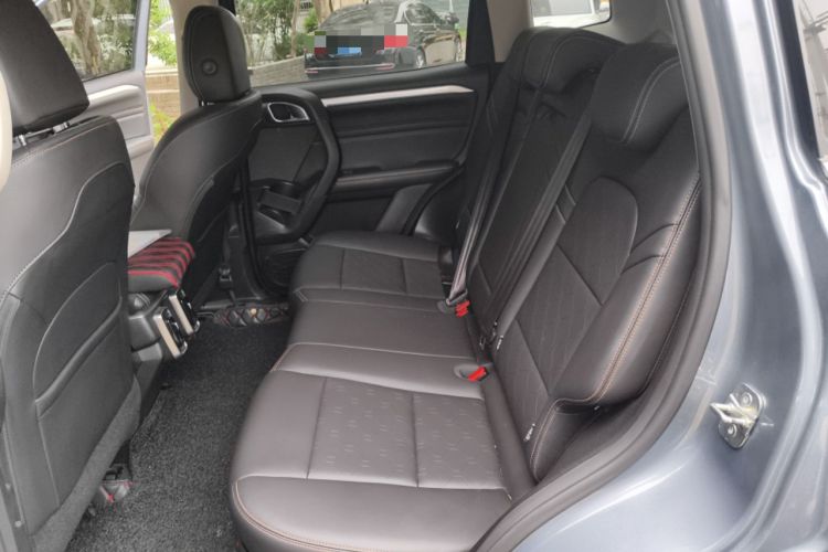 Used Haval DARGO 2021 1.5T DCT Two-Wheel Drive Border Collie Edition Left Rear Seat