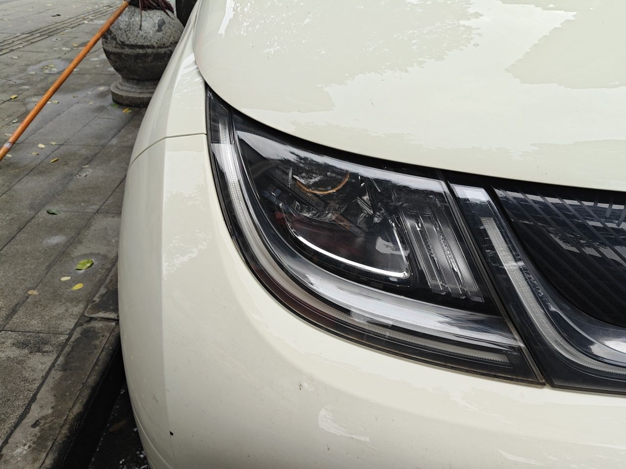 BYD Dolphin 2021 405 km Fashion Edition — снимка 7