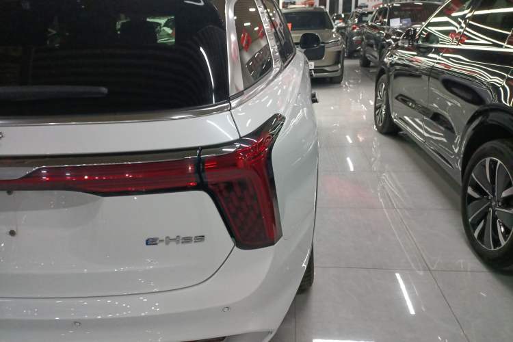 Used Hongqi E-HS9 2022 660 km Range Flagway Edition Six Seats
