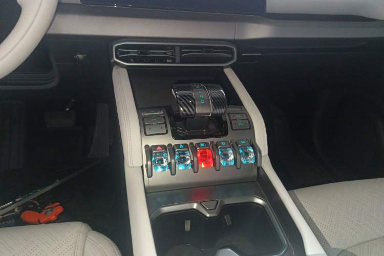 Used Formula Leopard Titanium 3 2025 Model 501KM Rear-Drive Ultra Version