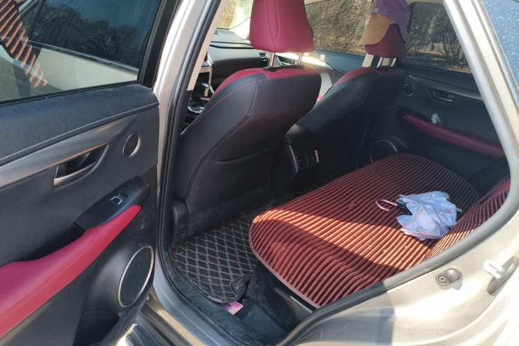 Used Lexus NX 2020 200 All-Wheel Drive Fēngshàng Version China VI Standard Left Rear Seat