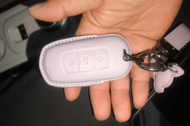 Used Geely Galaxy Panda 2023 Panda Mini 200km Dynamic Bear