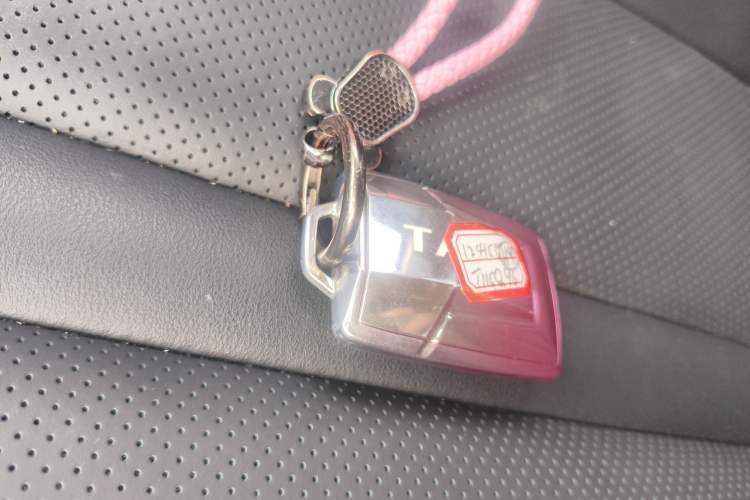 Used Tank 300 2024 2.0T Conqueror