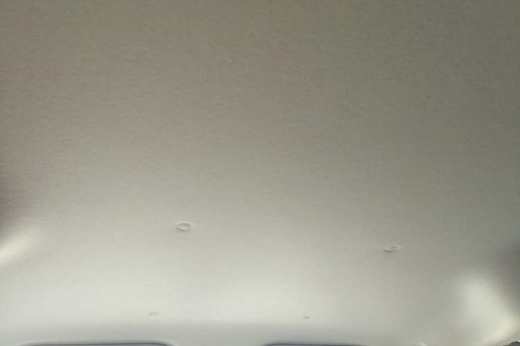 Used Wuling Zhiguang New Energy 2025 Comfort Model Headliner